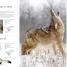 Wildlife of the World - thumbnail of spread image 7 Thumbnail image of Wildlife of the World - 7