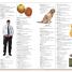 Merriam-Webster Children's Dictionary - thumbnail of spread image 6 Thumbnail image of Merriam-Webster Children's Dictionary - 6