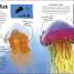 Amazing Giant Sea Creatures - thumbnail of spread image 4 Thumbnail image of Amazing Giant Sea Creatures - 4
