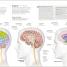 Science Of Yoga - thumbnail of spread image 4 Thumbnail image of Science Of Yoga - 4