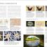 Digital Photographer's Handbook - thumbnail of spread image 9 Thumbnail image of Digital Photographer's Handbook - 9