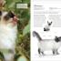 The Cat Encyclopedia - thumbnail of spread image 9 Thumbnail image of The Cat Encyclopedia - 9