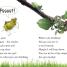 DK Readers L1: Bugs Hide and Seek - thumbnail of spread image 4 Thumbnail image of DK Readers L1: Bugs Hide and Seek - 4