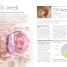 The Day-by-Day Pregnancy Book - thumbnail of spread image 4 Thumbnail image of The Day-by-Day Pregnancy Book - 4