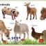 My First Animals - thumbnail of spread image 2 Thumbnail image of My First Animals - 2