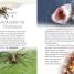 Thumbnail image of Spiders and Other Deadly Animals - 1