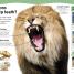 Do You Know About Animals? - thumbnail of spread image 1 Thumbnail image of Do You Know About Animals? - 1