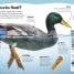 Do You Know About Animals? - thumbnail of spread image 2 Thumbnail image of Do You Know About Animals? - 2