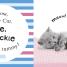 Baby Sparkle Baby Animals - thumbnail of spread image 3 Thumbnail image of Baby Sparkle Baby Animals - 3
