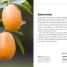 Thumbnail image of Grow Fruit - 4