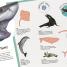 Thumbnail image of Sharks Ultimate Sticker Book - 2