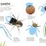 Thumbnail image of Bugs Ultimate Sticker Book - 2