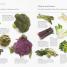 Thumbnail image of Eat More Vegetables - 1