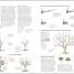 Thumbnail image of RHS Pruning and Training - 2