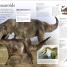 Thumbnail image of Dinosaurs A Children's Encyclopedia - 6