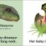 Thumbnail image of Baby Touch and Feel Baby Dinosaur - 1