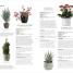 Thumbnail image of RHS Practical House Plant Book - 6