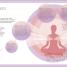 Thumbnail image of Practical Meditation - 6