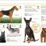 Thumbnail image of Pocket Eyewitness Dogs - 3