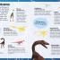 Thumbnail image of Sticker Encyclopedia Dinosaurs - 2