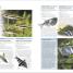 Thumbnail image of Encyclopedia of Aquarium and Pond Fish - 2