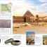 Incredible History - thumbnail of spread image 1 Thumbnail image of Incredible History - 1
