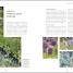 Thumbnail image of RHS Your Wellbeing Garden - 4