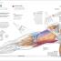 Thumbnail image of Science of Strength Training - 5