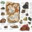 Thumbnail image of The Natural History Book - 1