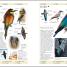 Thumbnail image of RSPB Complete Birds of Britain and Europe - 8