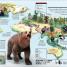 Thumbnail image of What's Where on Earth? Animal Atlas - 4