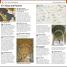 DK Eyewitness Top 10 Rome - thumbnail of spread image 9 Thumbnail image of DK Eyewitness Top 10 Rome - 9