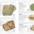 Thumbnail image of Rocks and Minerals - 3