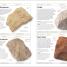 Thumbnail image of Rocks & Minerals - 5