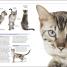 Thumbnail image of The Complete Cat Breed Book - 1