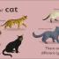 Thumbnail image of C is for Cat - 1