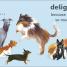 Thumbnail image of D is for Dog - 5