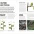 Thumbnail image of Grow Pruning & Training - 1