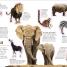 Thumbnail image of Ultimate Sticker Book Animals - 3