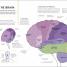 Thumbnail image of The Brain Fitness Book - 1