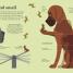 Thumbnail image of How Dogs Work - 7