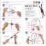Knots Step by Step - thumbnail of spread image 2 Thumbnail image of Knots Step by Step - 2