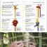 Knots Step by Step - thumbnail of spread image 5 Thumbnail image of Knots Step by Step - 5