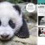 Behind the Scenes at the Zoo - thumbnail of spread image 1 Thumbnail image of Behind the Scenes at the Zoo - 1