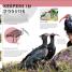 Behind the Scenes at the Zoo - thumbnail of spread image 3 Thumbnail image of Behind the Scenes at the Zoo - 3