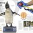 Behind the Scenes at the Zoo - thumbnail of spread image 4 Thumbnail image of Behind the Scenes at the Zoo - 4