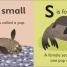 Thumbnail image of S is for Seal - 2