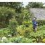 Thumbnail image of The Vegetable Grower's Handbook - 2