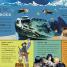 Thumbnail image of My Encyclopedia of Very Important Oceans - 2