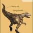 Thumbnail image of My First Dinosaur Flash Cards - 3